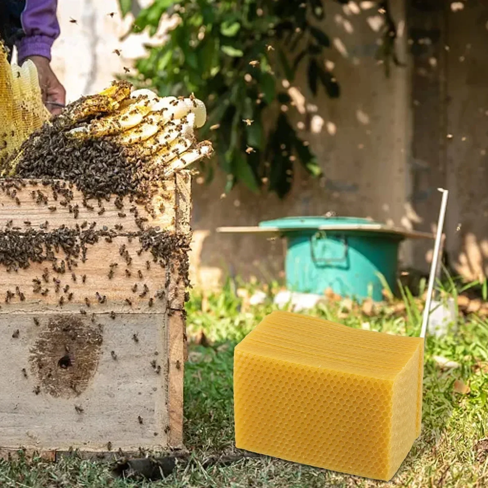 Suprimentos para colmeia, base - Candle Making Kit Beeswax avaliação e preço