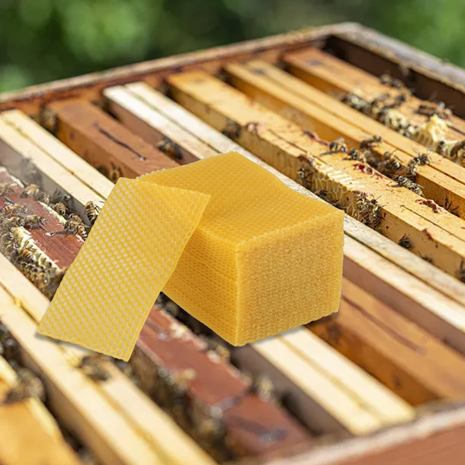 Folhas de Cera de Abelha para  - Candle Making Kit Beeswax avaliação e preço